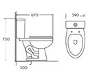 Toilet Two Piece White DR-252 Siphonic