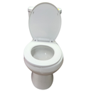 Toilet Two Piece White DR-252 Siphonic