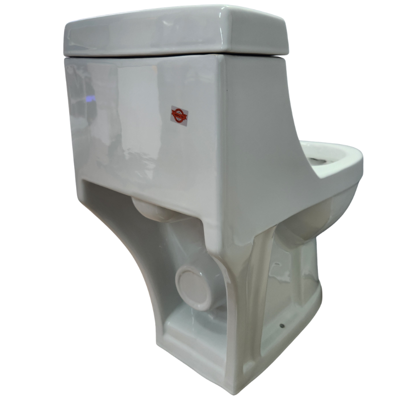 Toilet One Piece White DR-1021 Washdown