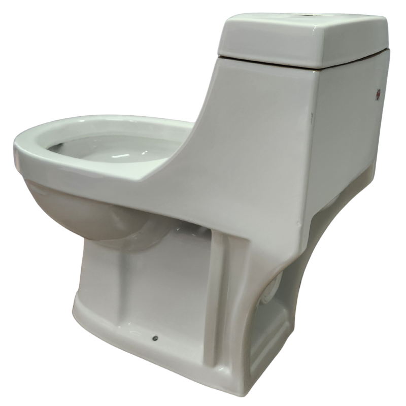 Toilet One Piece White DR-1021 Washdown