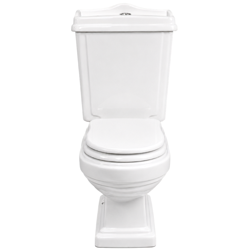 Toilet Two Piece White DR-239 Washdown