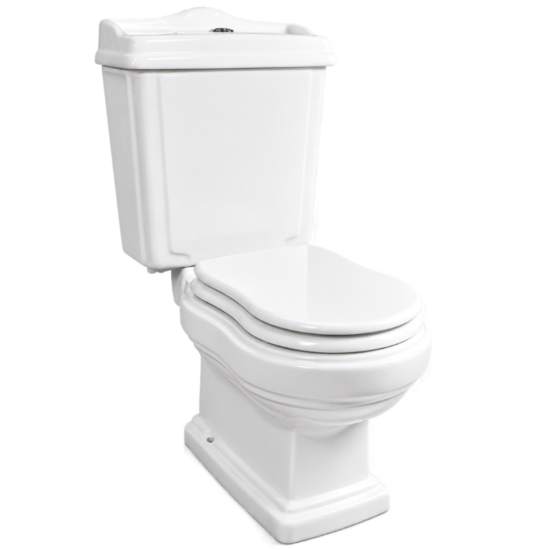 Toilet Two Piece White DR-239 Washdown
