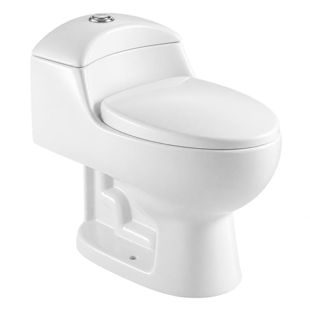 Toilet One Piece White DR-1079 Siphonic