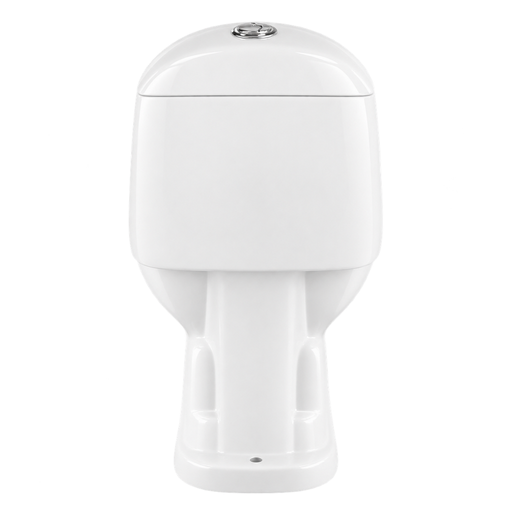 Toilet One Piece White DR-1079 Siphonic