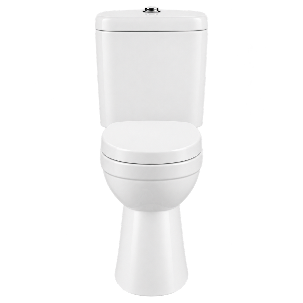 Toilet Two Piece White DR-219 Washdown