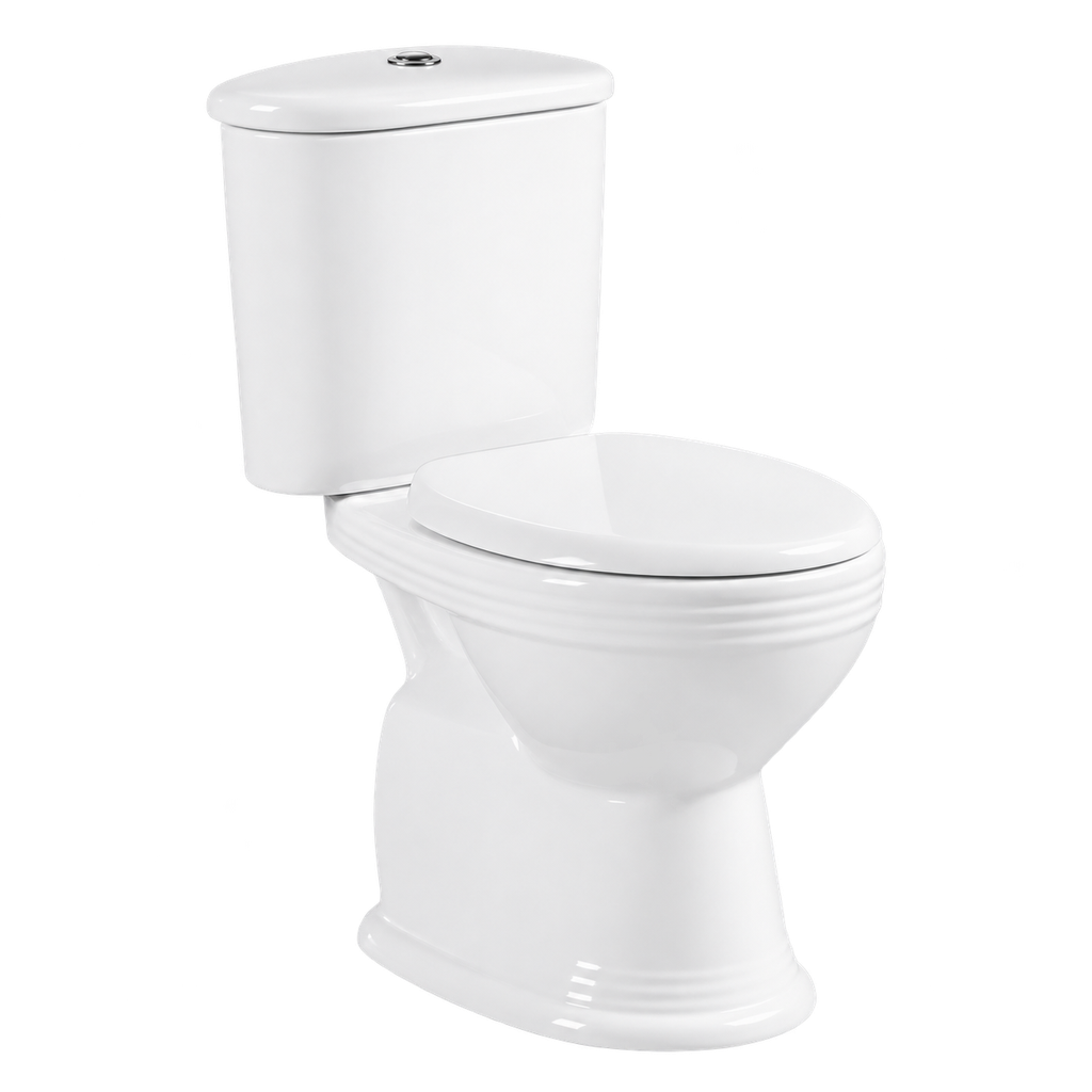 Toilet Two Piece White DR-237 Washdown