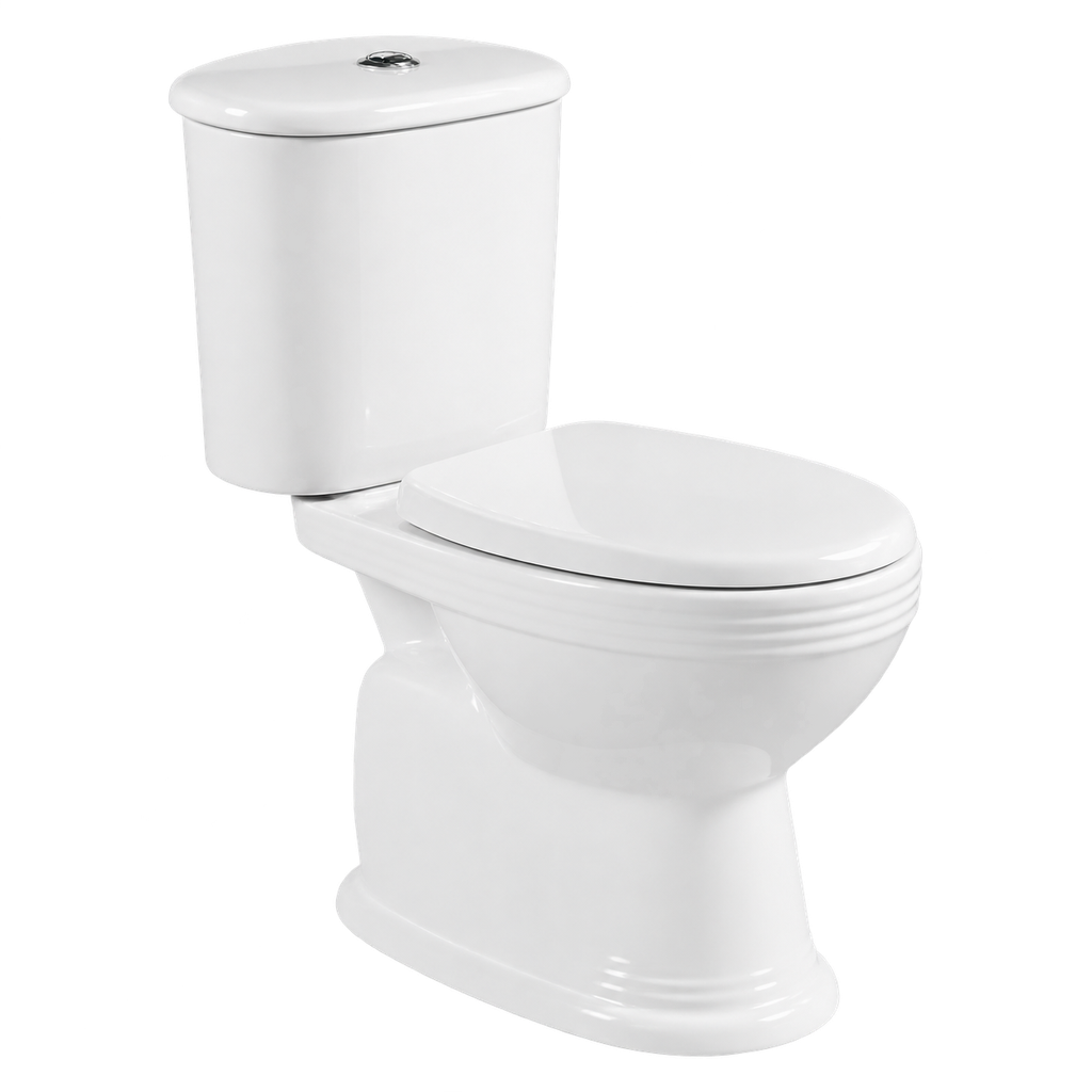 Toilet Two Piece White DR-237 Washdown