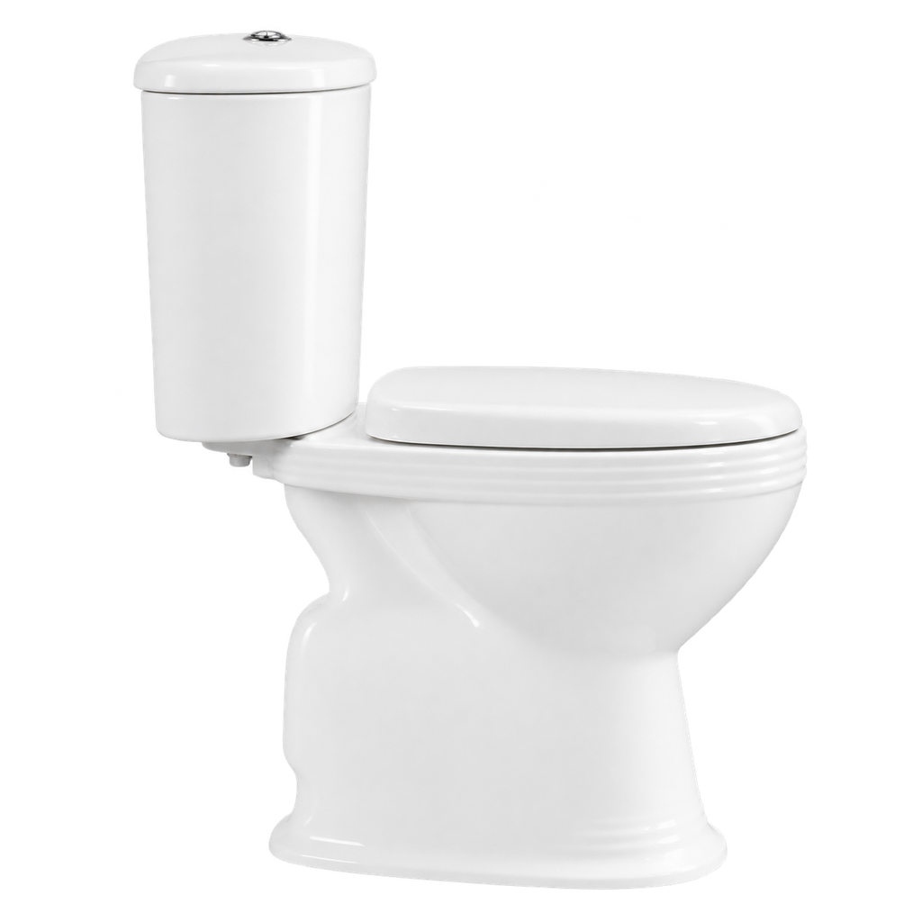 Toilet Two Piece White DR-237 Washdown