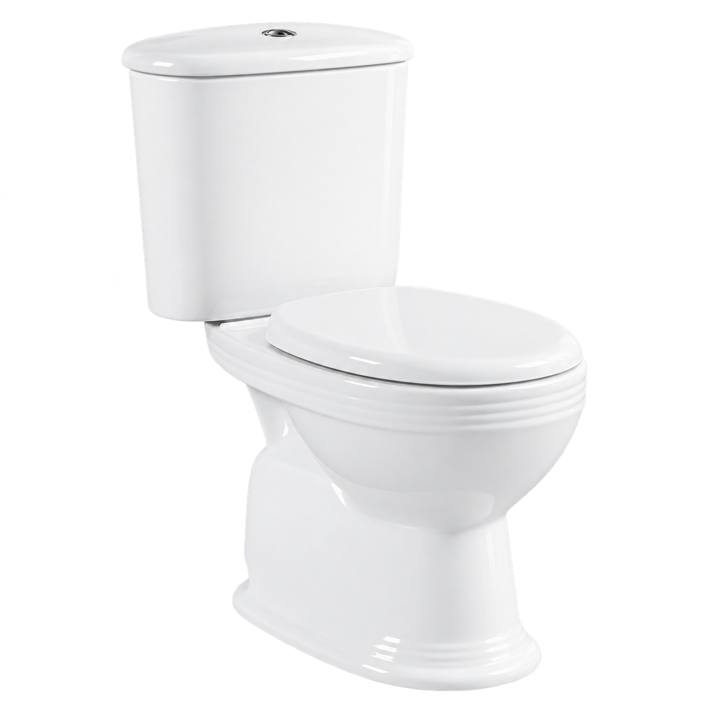 Toilet Two Piece White DR-237 Washdown