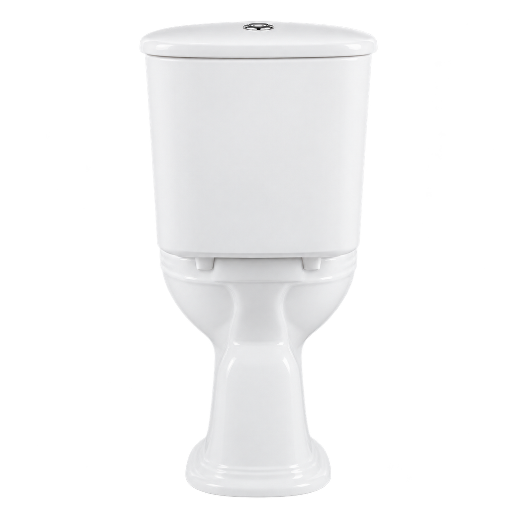 Toilet Two Piece White DR-237 Washdown