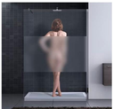 Shower Screen HSL1012-1 Frosted