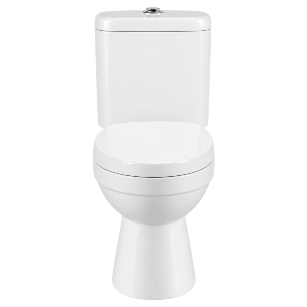 Toilet Two Piece White DR-219 Washdown