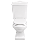 Toilet Two Piece White DR-239 Washdown