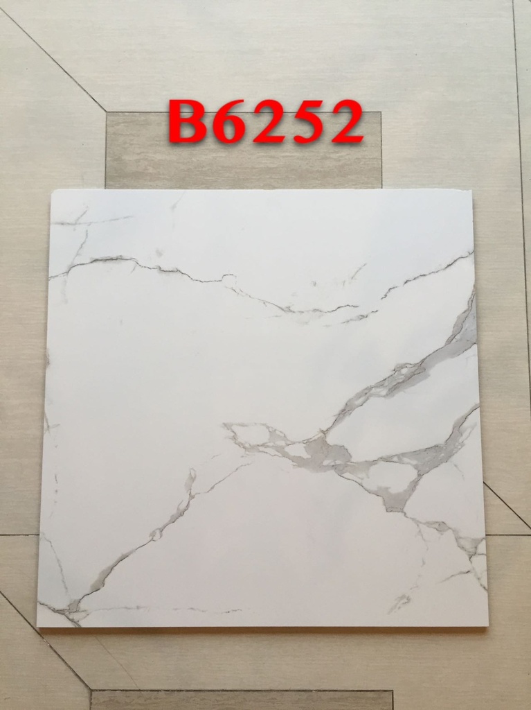 Tiles Porcelain 60x60 B6252