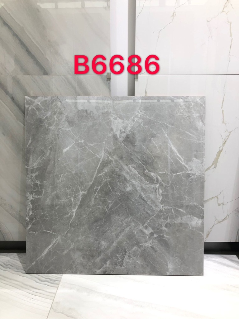 Tiles Porcelain 60x60 B6686