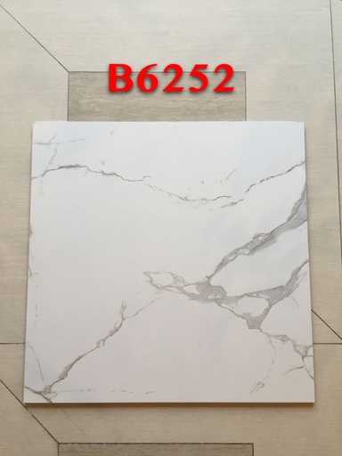 [60-SB-B6252-6060] Tiles Porcelain 60x60 B6252