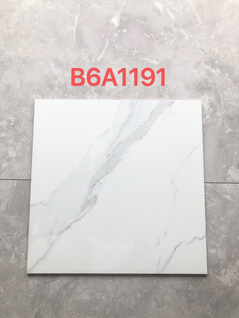 [60-SB-B6A1191-6060] Tiles Porcelain 60x60 B6A1191 