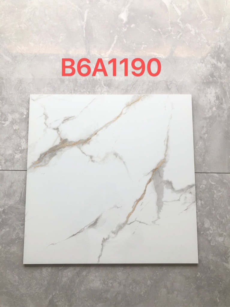 [60-SB-B6A1190-6060] Tiles Porcelain 60x60 B6A1190