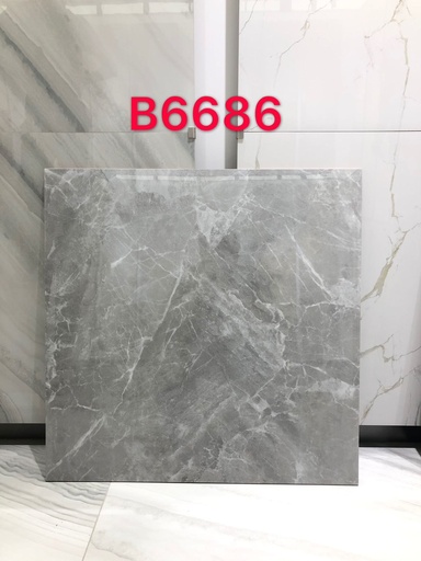[60-SB-B6686-6060] Tiles Porcelain 60x60 B6686